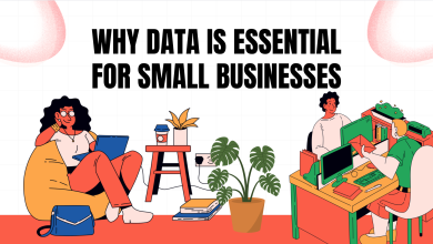 Why Data is Essential for Small Businesses 28 Screen Shot 2025 03 08 at 00.14.29
